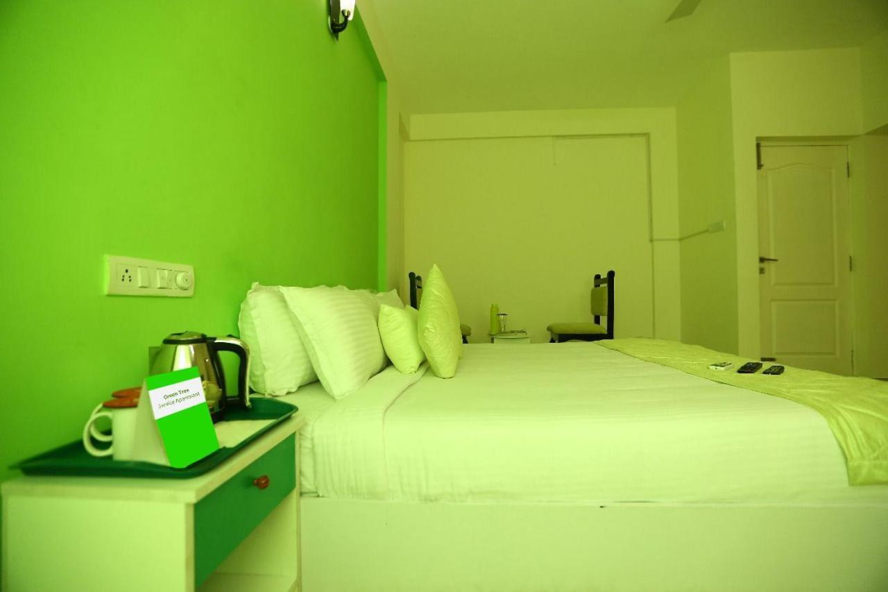 Green Tree Apartment South Boag Road Chennai Dış mekan fotoğraf